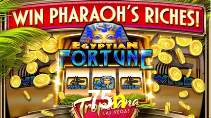 Descubra o Mundo do Cassino Online com 75n